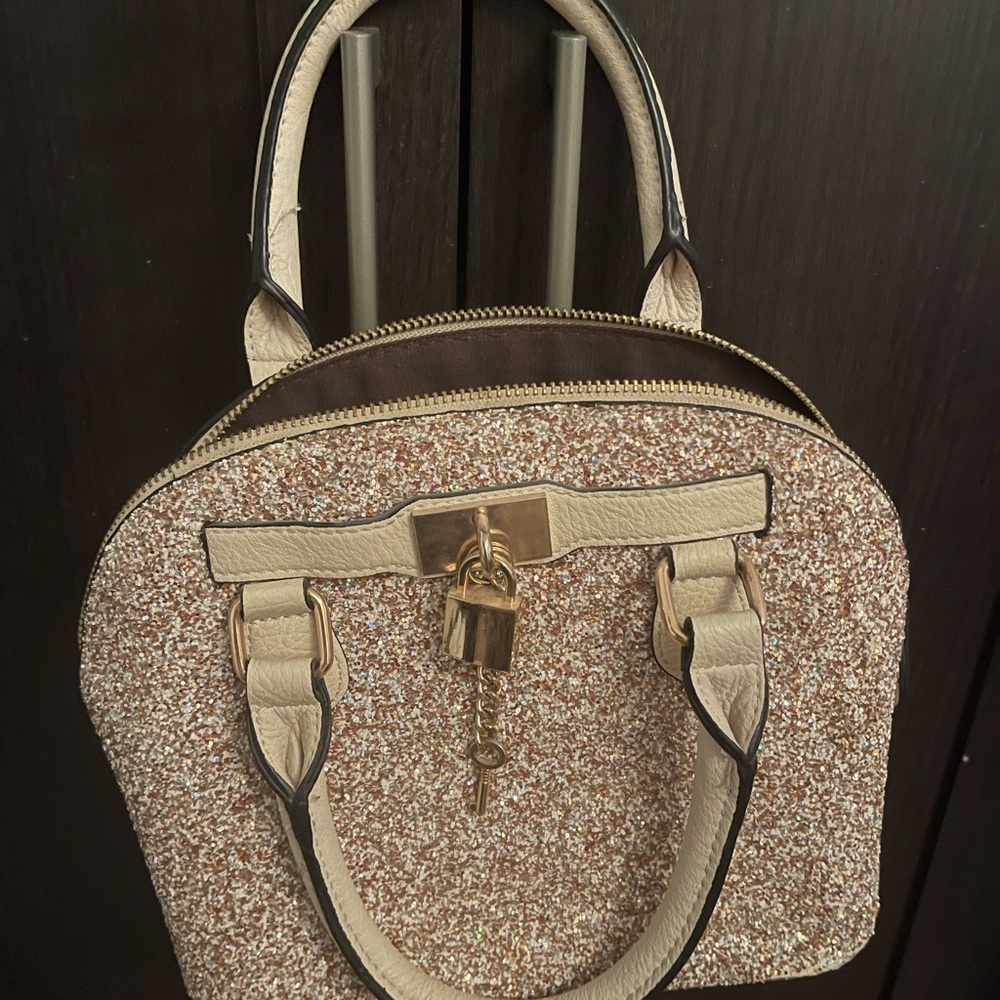 Aldo purse